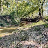 150 Acres in Winston County MS images 4