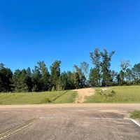 150 Acres in Winston County MS images 5