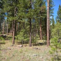 Allen Creek Hunting Retreat images 4