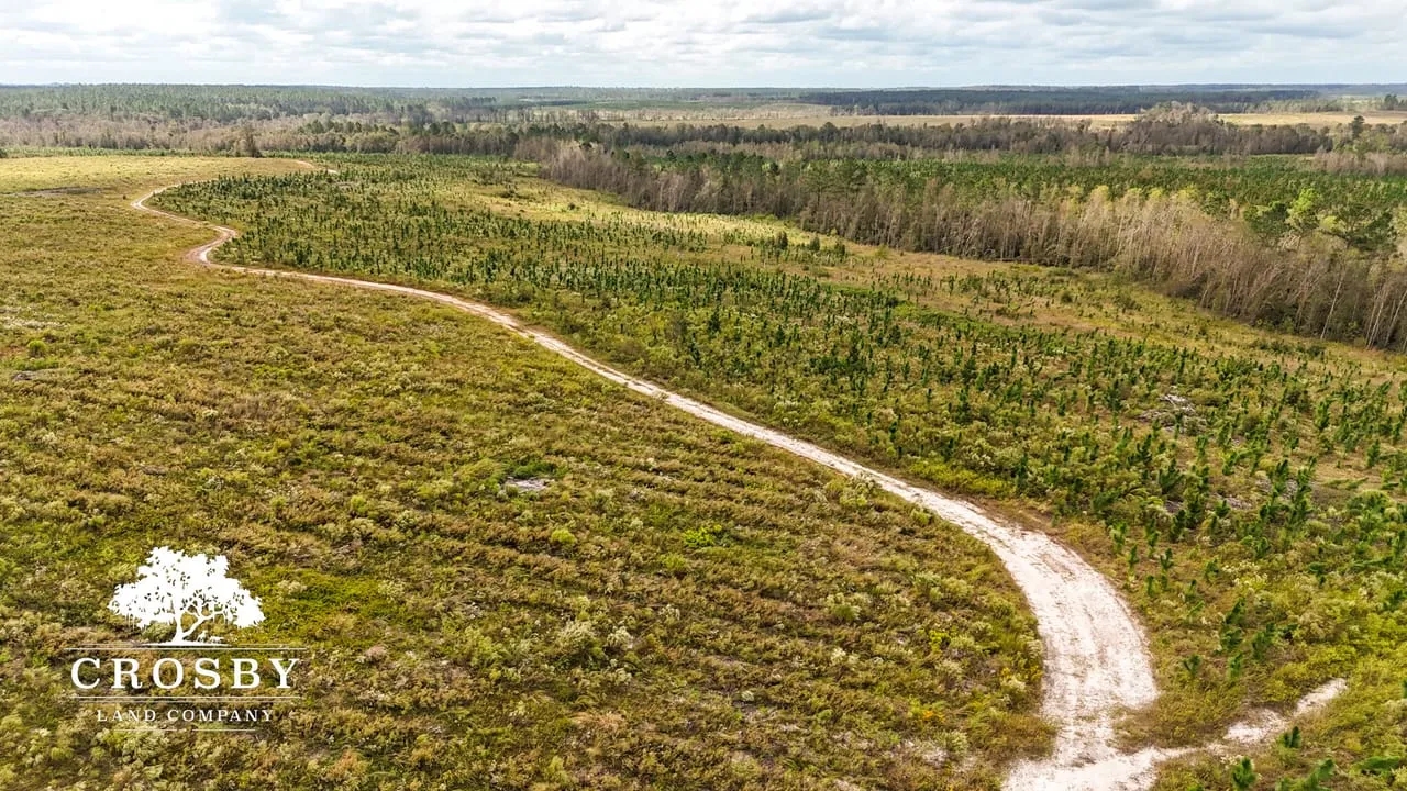 Horne Tract Hunting Land for Sale