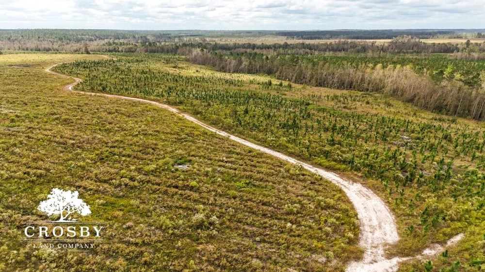 Horne Tract featured image