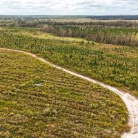 Horne Tract
