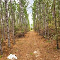 Horne Tract images 2