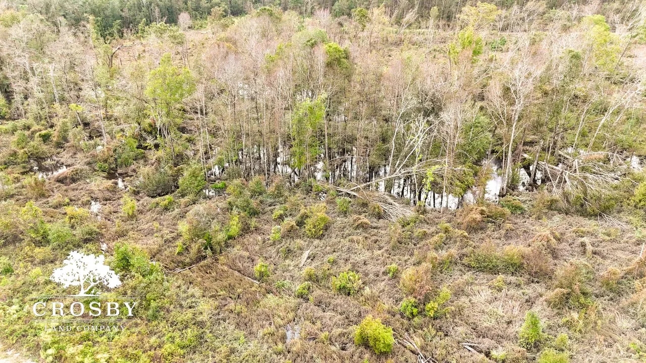 Horne Tract Hunting Land for Sale