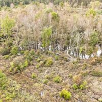 Horne Tract images 3