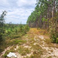 Horne Tract images 4