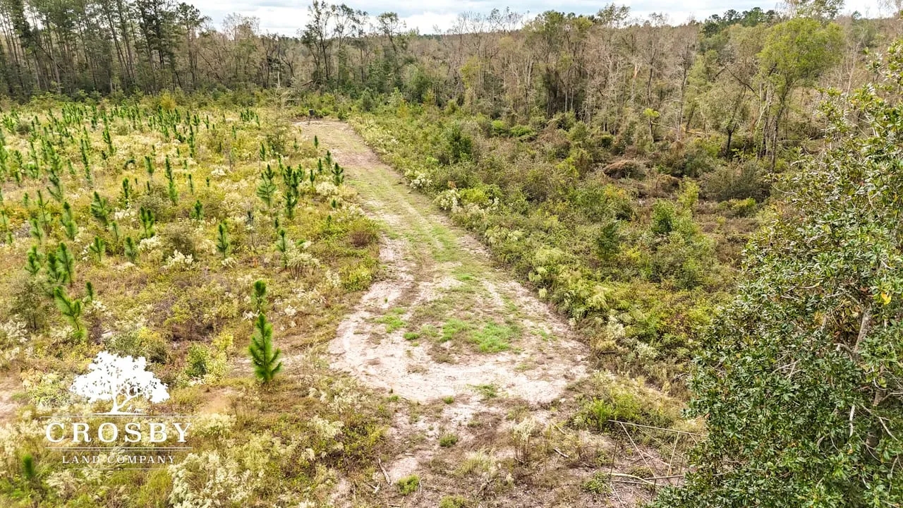 Horne Tract Hunting Land for Sale