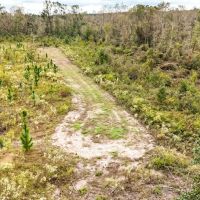 Horne Tract images 5