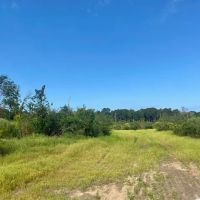 35 acres Magnolia Holmesville Road