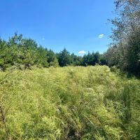 24-055-davis-road-tract