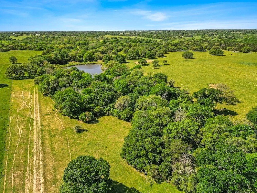 135 acres CR 221 Weimar TX Colorado County featured image