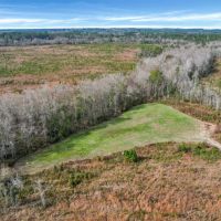 Wilderness Retreat Prime Timberland and Hunting Oasis images 5