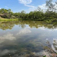 32 - Acres Jones County Tract 3 images 3