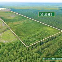 59-Acre Hunting and Timberland Tract on East River Road images 2