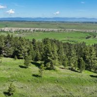 Bear Creek Ranch images 2