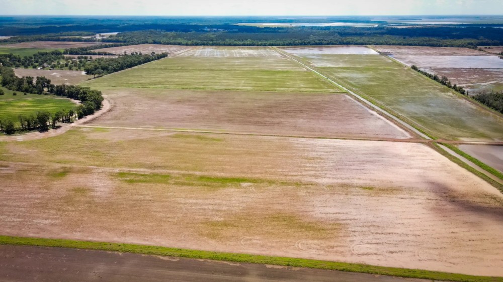 Marksville Rice Recreational Tract 517 - Ac featured image