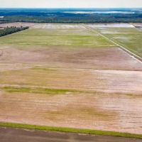 Marksville Rice Recreational Tract 517 - Ac