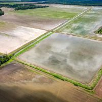 Marksville Rice Recreational Tract 517 - Ac images 2