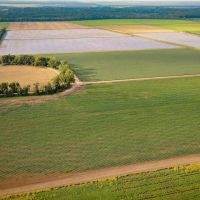 Marksville Rice Recreational Tract 517 - Ac images 5
