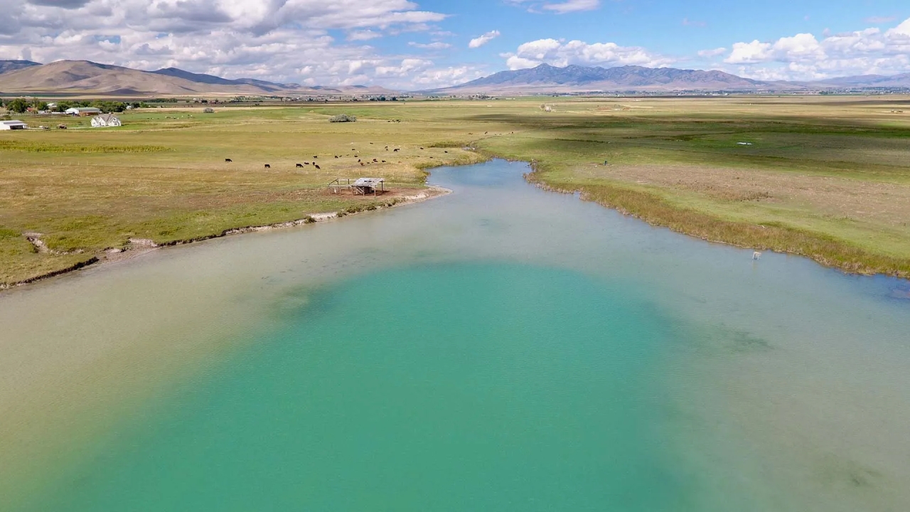 Samaria Lake Farm Hunting Land for Sale