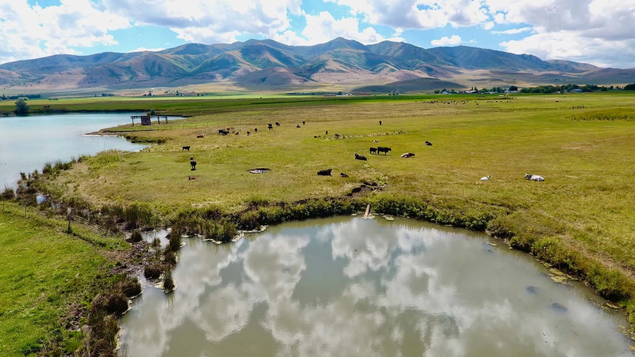 Samaria Lake Farm Hunting Land for Sale