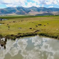 Samaria Lake Farm images 3