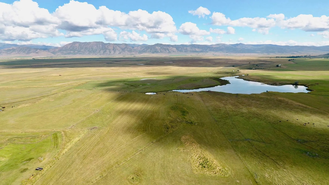Samaria Lake Farm Hunting Land for Sale