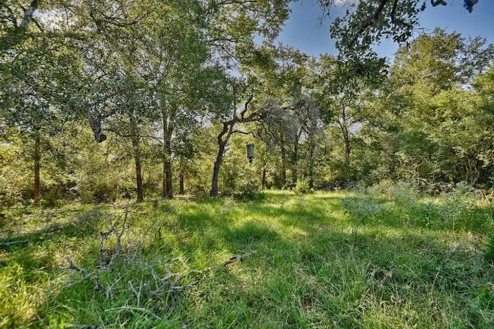 185 acres- County Road 134 Hallettsville TX Lavaca County featured image