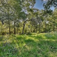 185 acres- County Road 134 Hallettsville TX Lavaca County