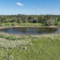 185 acres- County Road 134 Hallettsville TX Lavaca County images 3