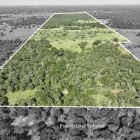 185 acres- County Road 134 Hallettsville TX Lavaca County images 5