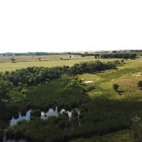 Hobson Ranch