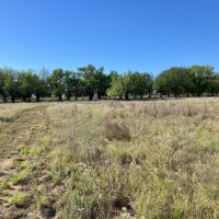 Hobson Ranch images 5