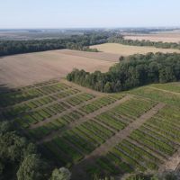48.6 Acres in Yazoo County