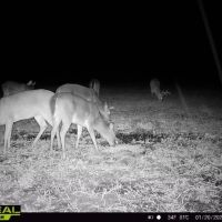 48.6 Acres in Yazoo County images 2