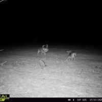 48.6 Acres in Yazoo County images 3