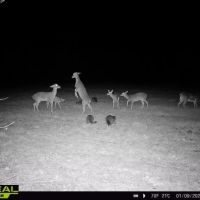 48.6 Acres in Yazoo County images 4