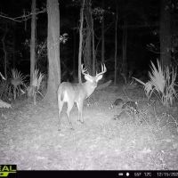 48.6 Acres in Yazoo County images 5