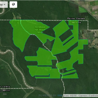 Deer Hunting Atchafalaya NWR of 15,000 Acres in St. Landry Parish ,LA images 2