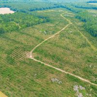 Prime Land for Home Hunting and Investment