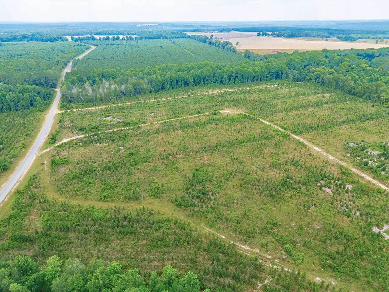 Prime Land for Home Hunting and Investment Hunting Land for Sale