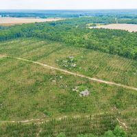 Prime Land for Home Hunting and Investment images 3