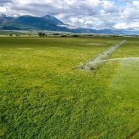 Paradise Valley Farm images 2