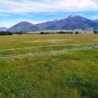 Paradise Valley Farm images 3