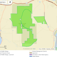 Waterfowl Hunting, Bayou Cocodrie NWR of 14,600 Acres in Concordia, LA