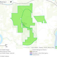 Waterfowl Hunting, Bayou Cocodrie NWR of 14,600 Acres in Concordia, LA images 2