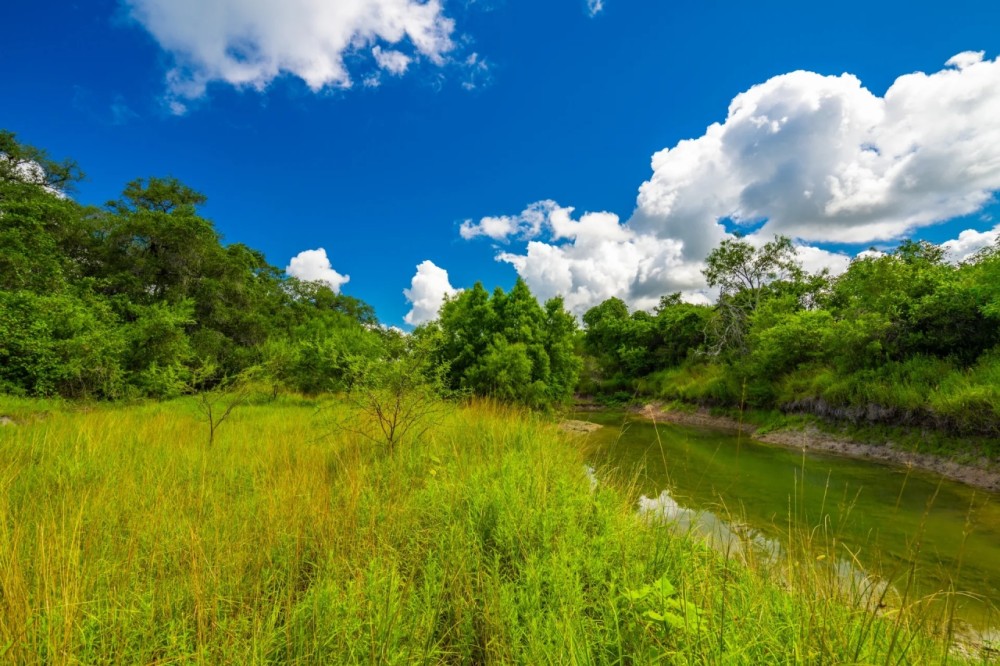 Berclair Ranch featured image