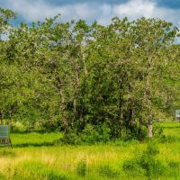 Berclair Ranch images 5