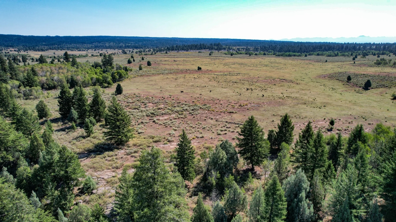 Ashton s Spring Creek Ranch Hunting Land for Sale HuntingLocator