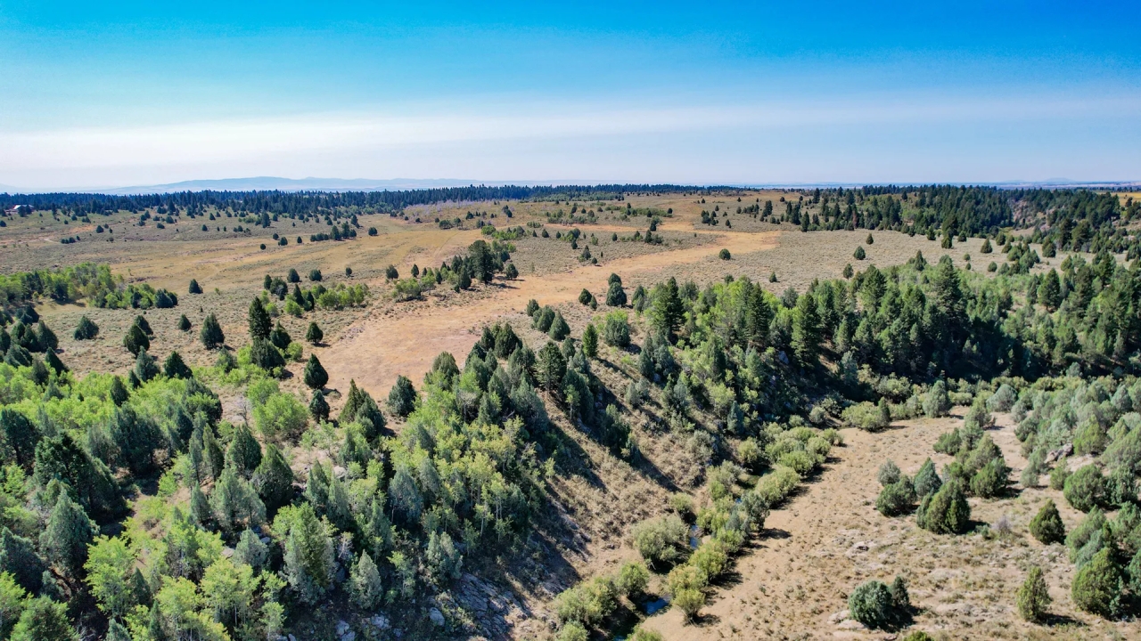 Ashton s Spring Creek Ranch Hunting Land for Sale HuntingLocator